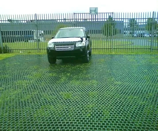 Zielony podjazd z kratką trawnikową