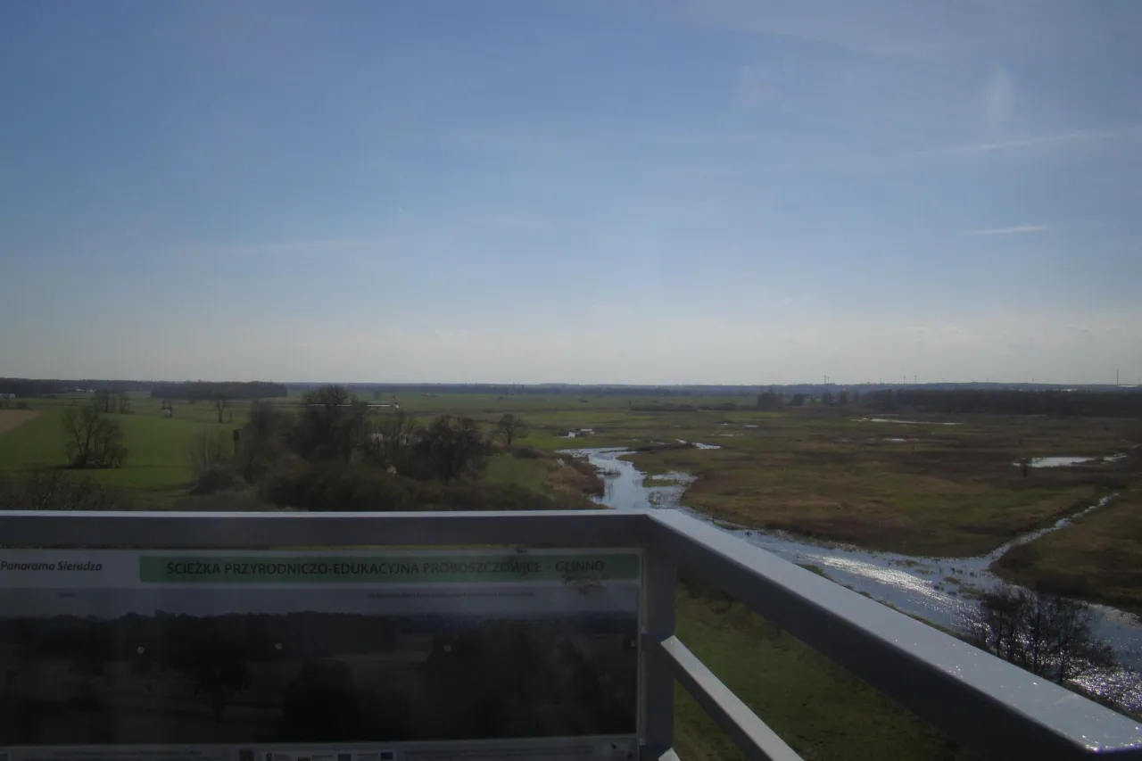 Widok na rozległe tereny podmokłe i łąki w rezerwacie przyrody Jeziorsko. W oddali widać wiatraki.