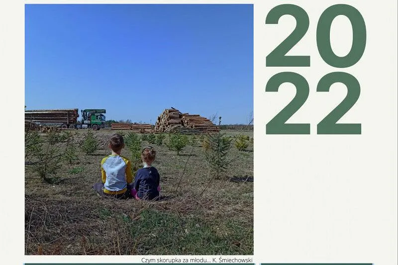 kalendarz wycinki drzew w Polsce