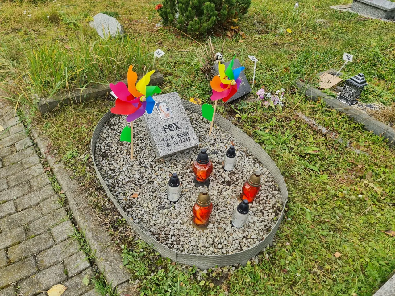 Nagrobek psa Foxa, z kolorowymi wiatraczkami i zniczami. Pamięć o ukochanym zwierzęciu po eutanazji.