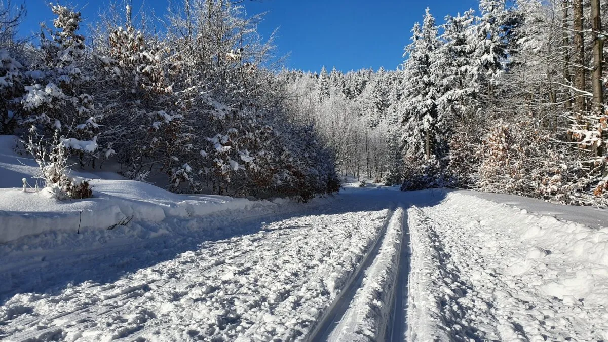 Narciarstwo biegowe G&oacute;ry Sowie zima
