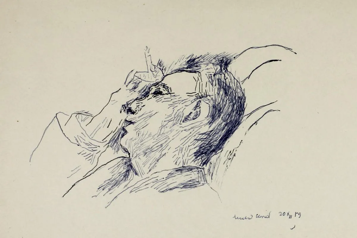 Ograniczenia języka literackiego w sztuce