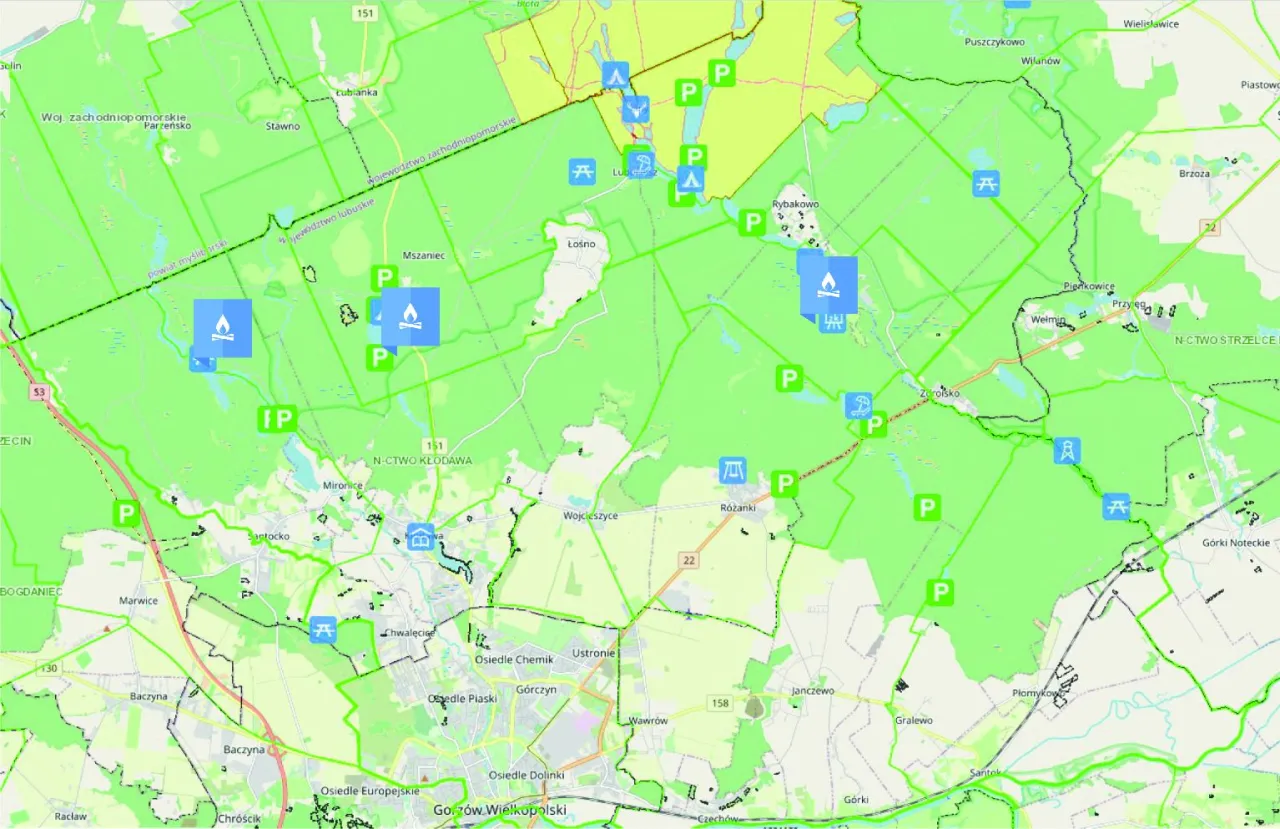 Mapa legalnych miejsc na ognisko w lesie w Polsce