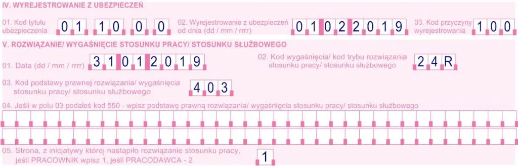 ZUS ZWUA formularz wypełnianie