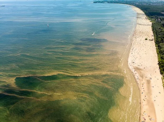 Zdjęcie Gdzie sinice nad Bałtykiem? Aktualna mapa zamkniętych kąpielisk 2025