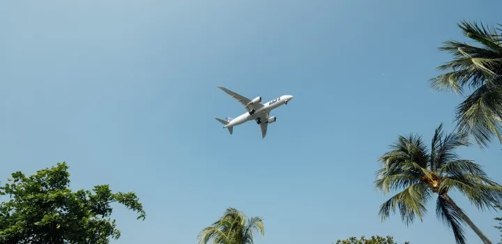 Samolot czarterowy na tle palm Wyspy Zielonego Przylądka