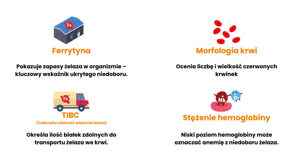 grupy ryzyka niedob&oacute;r żelaza statystyki