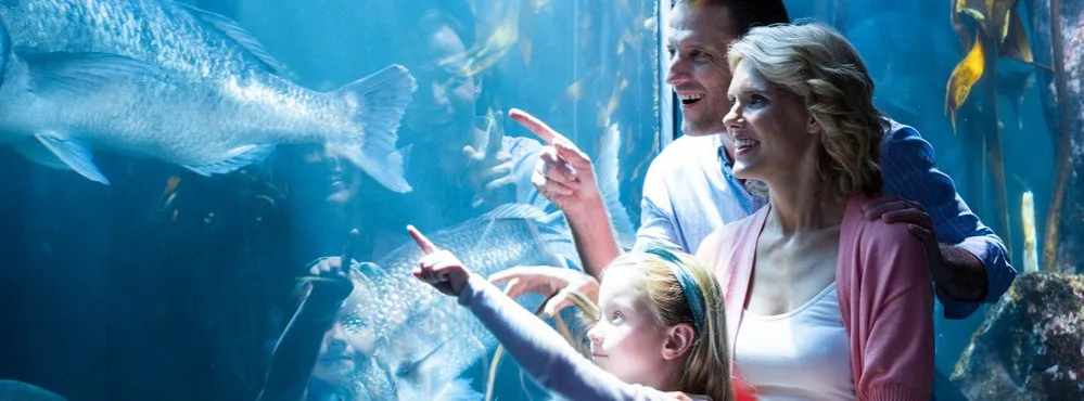 Zdjęcie Oceanarium Gliwice: Alternatywy dla morskich atrakcji w regionie