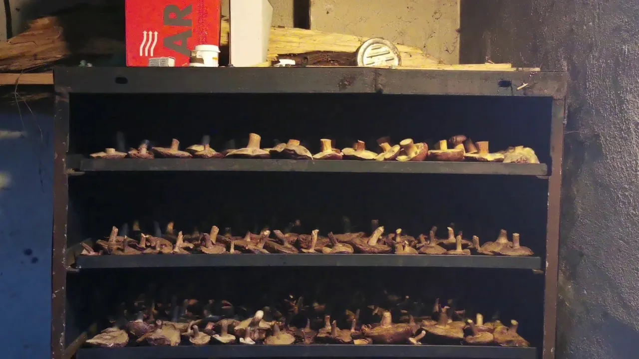 Suszarnia do grzyb&oacute;w w agroturystyce