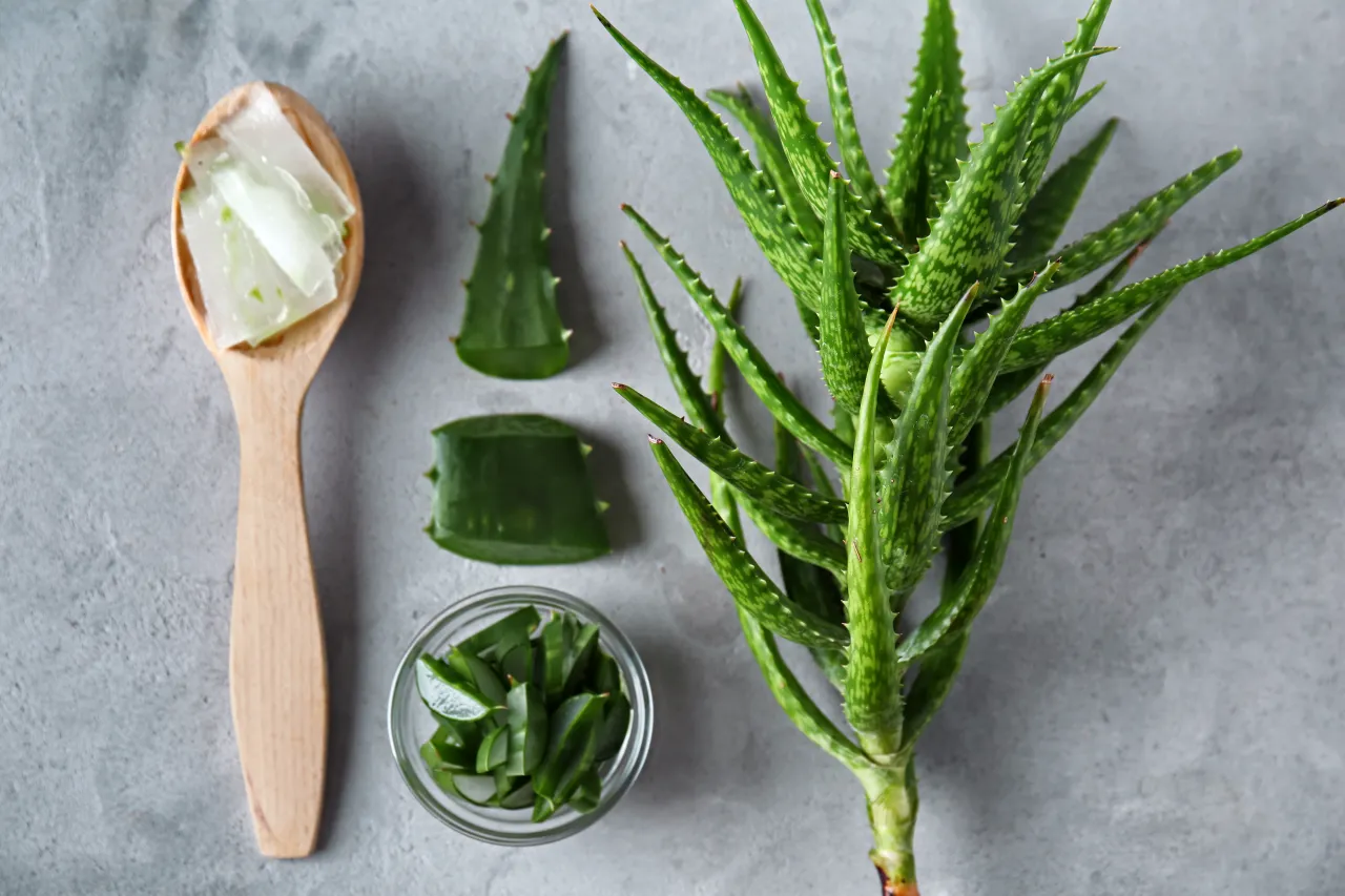 alergia na sk&oacute;rze