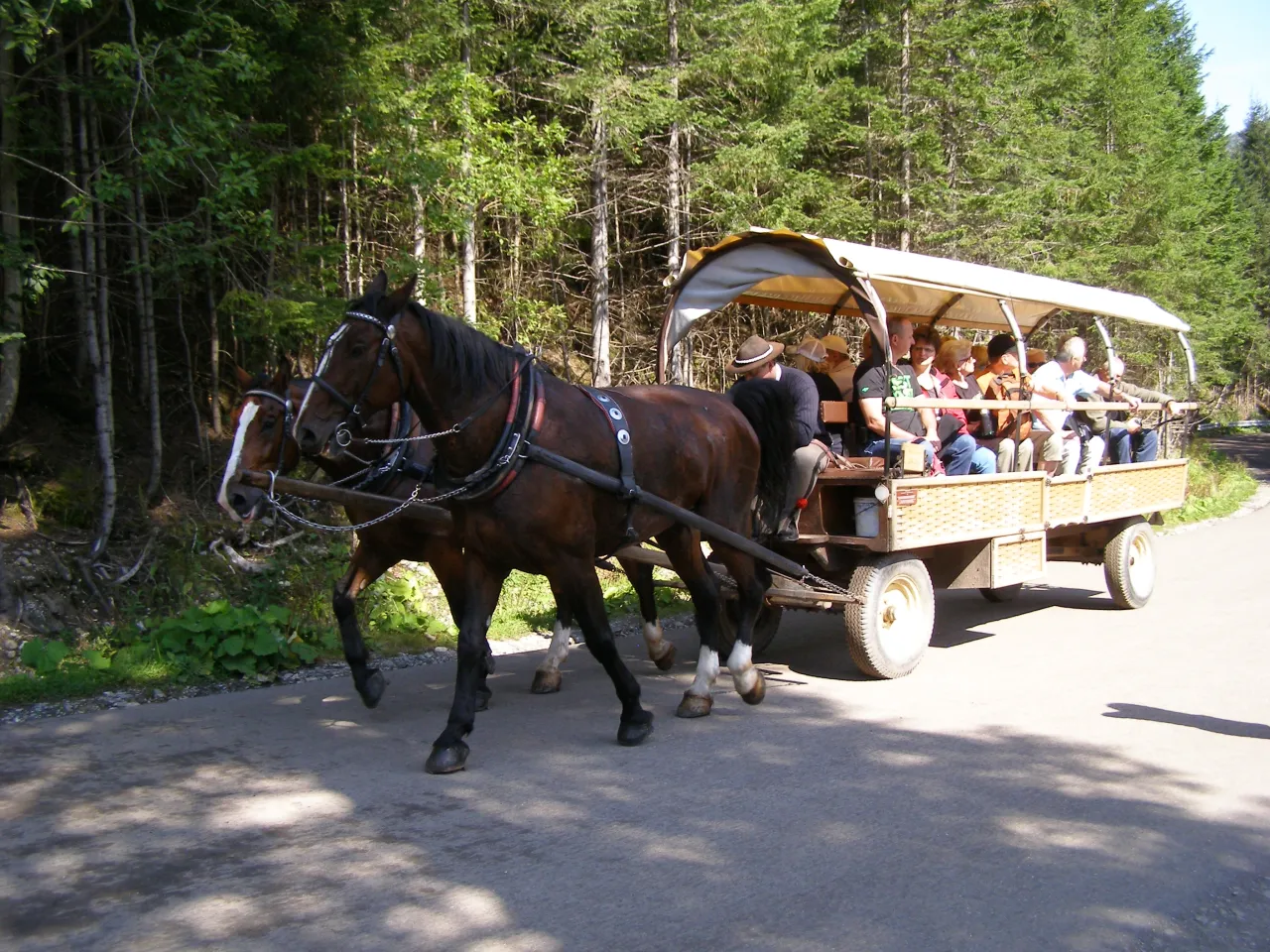 fasiąg Morskie Oko