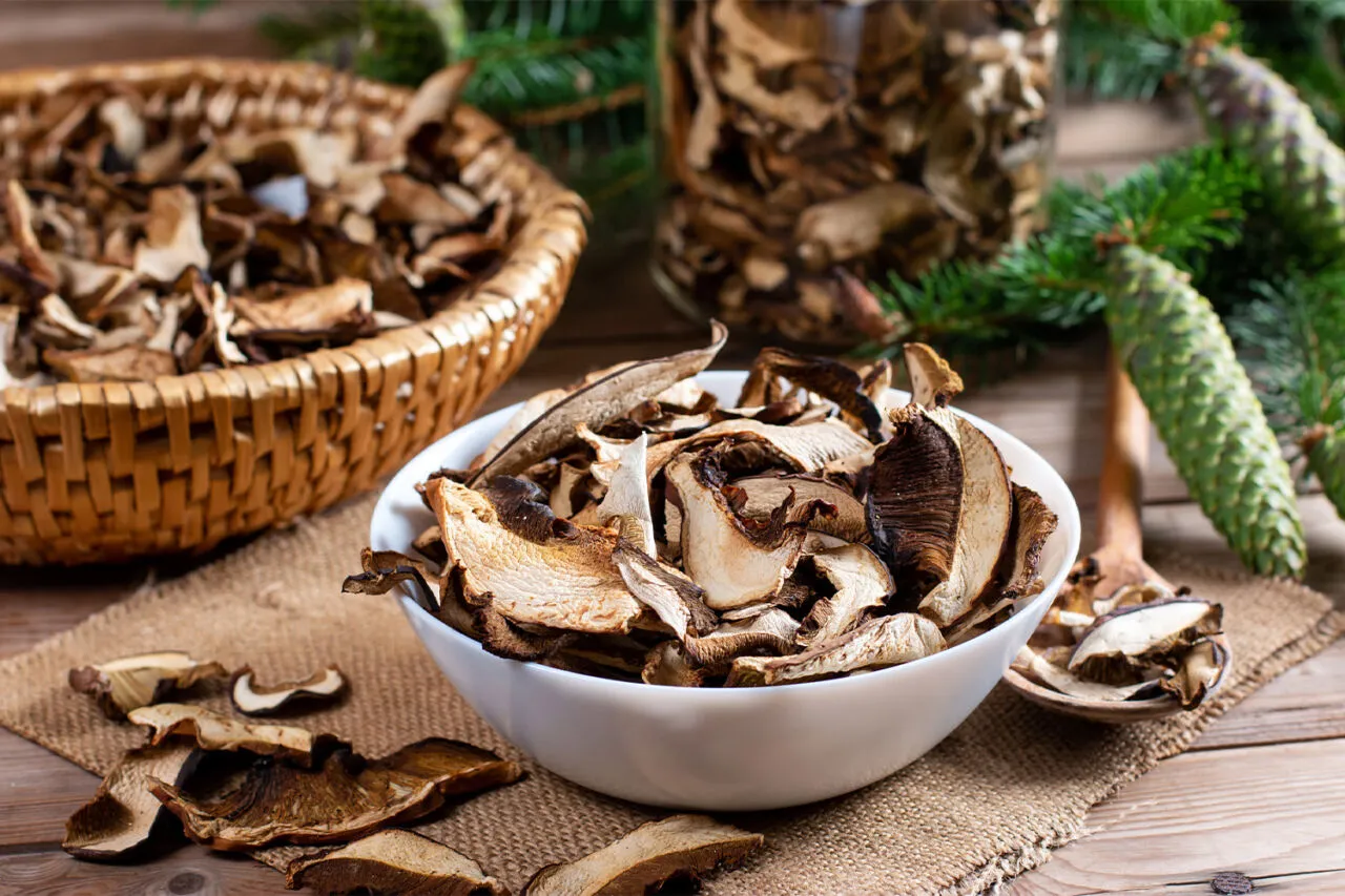 różne rodzaje grzybów do zupy, grzyby leśne, suszone grzyby