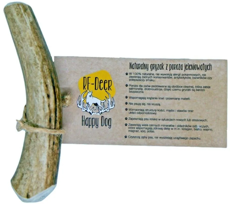 Zdjęcie Róg jelenia dla psa od kiedy? Sprawdź, co musisz wiedzieć