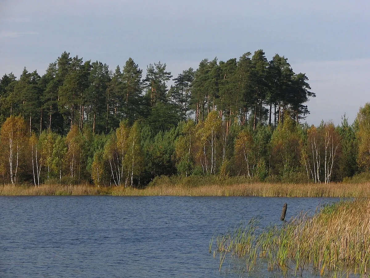 Jezioro Czarne Świeszyno borowinowe torfowiska