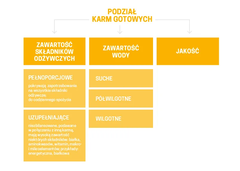 różne rodzaje suchej karmy dla psa