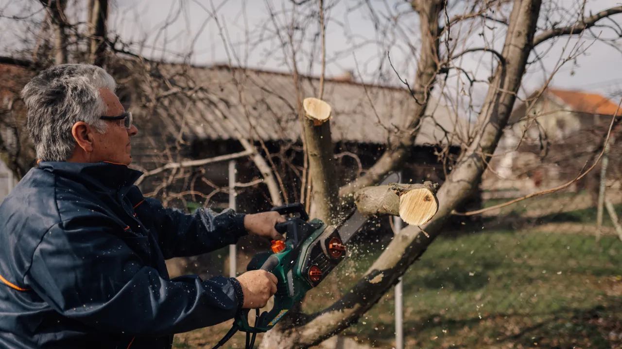 wycinka tui przepisy
