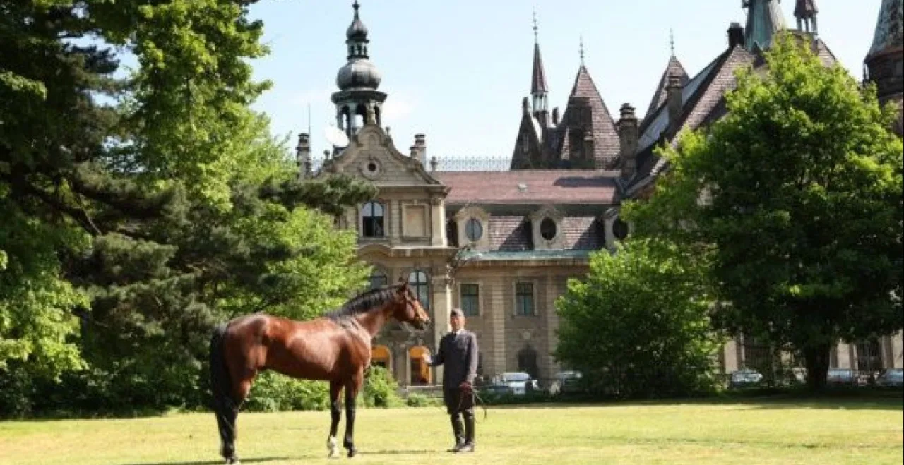 Stadnina Koni Moszna zamek konie