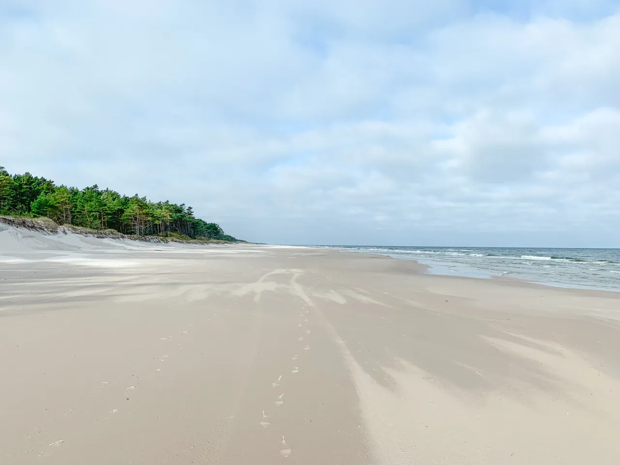 Pusta, szeroka plaża w Dębkach lub Lubiatowie z sosnowym lasem w tle