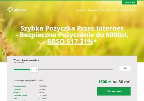 Zdjęcie Czy Wandoo sprawdza BIK? Sprawdź, co to oznacza dla Twojej pożyczki