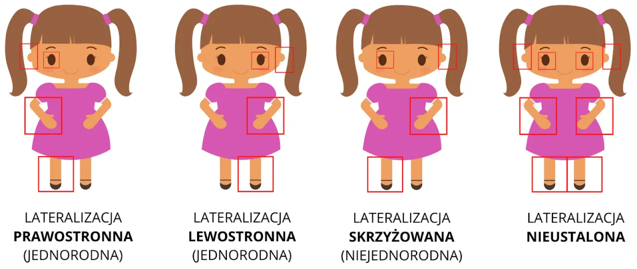 Zdjęcie Zaburzenia lateralizacji objawy – jak rozpoznać i wpłynąć na codzienne życie?