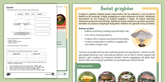 Zdjęcie Sposób na ugotowane grzyby - 5 prostych pomysłów na pyszne dania