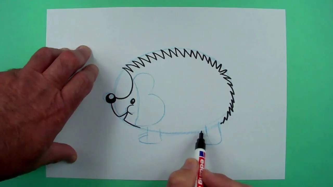 eingerollten Igel zeichnen Anleitung einfach