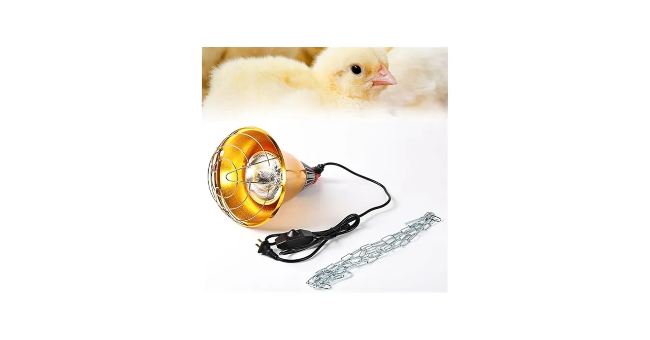 szczenięta w kojcu z lampą grzewczą