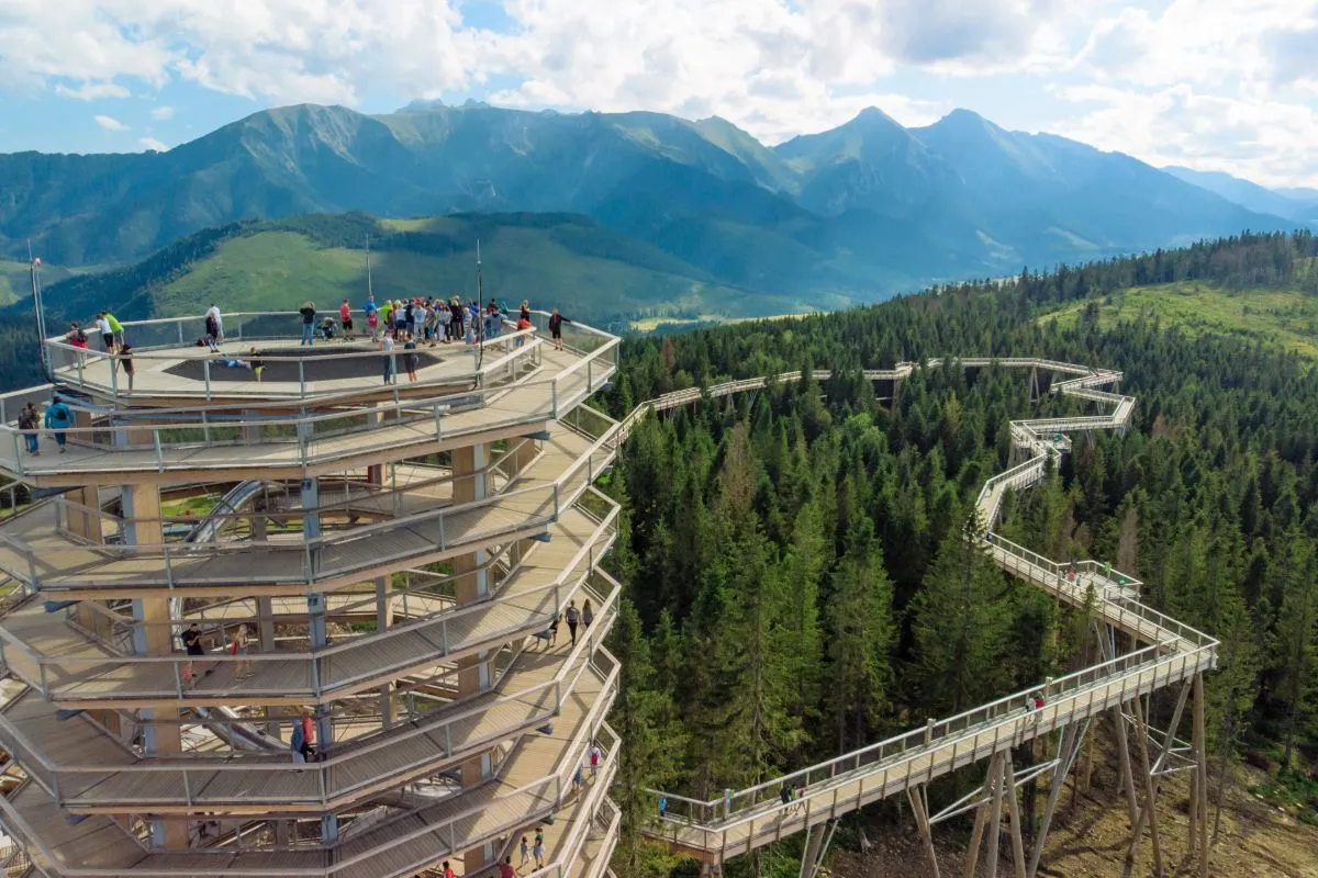 Ścieżka w koronach drzew Karkonosze panorama