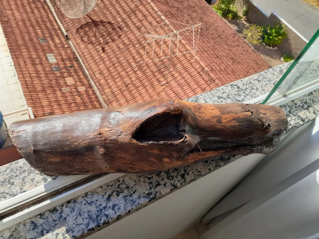 Zdjęcie Gdzie kupić drewno wyrzucone przez morze? Najlepsze miejsca i oferty