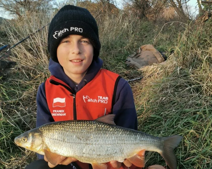 Zdjęcie Wędki bolonki na jakie ryby: skuteczne metody połowu różnych gatunków