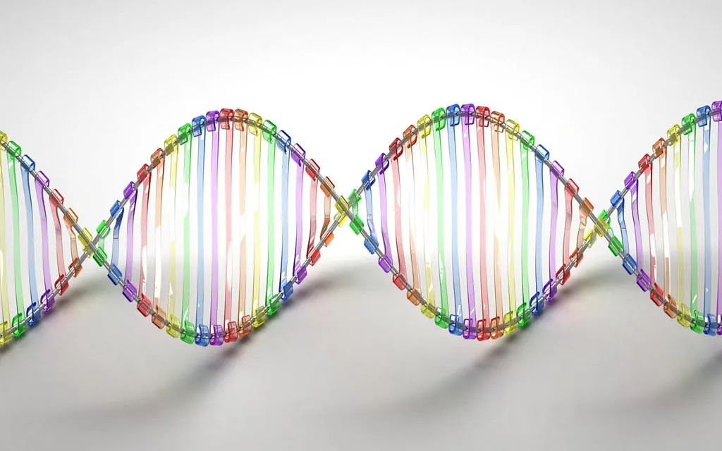 Zdjęcie Jakie są dziedziny biologii? Poznaj fascynujące specjalizacje!
