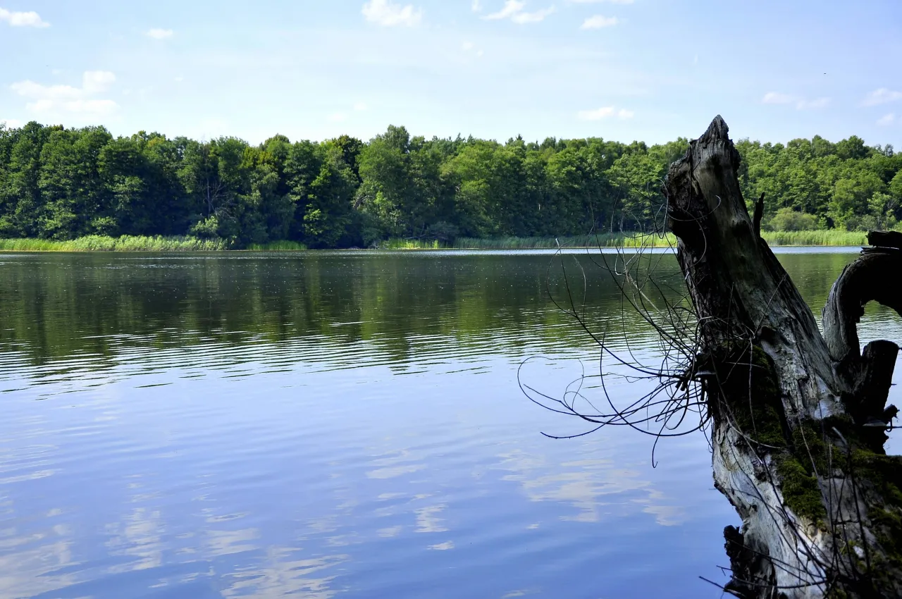 Zdjęcie Jezioro Ostrowieckie - co musisz wiedzieć przed pierwszą wizytą w 2025