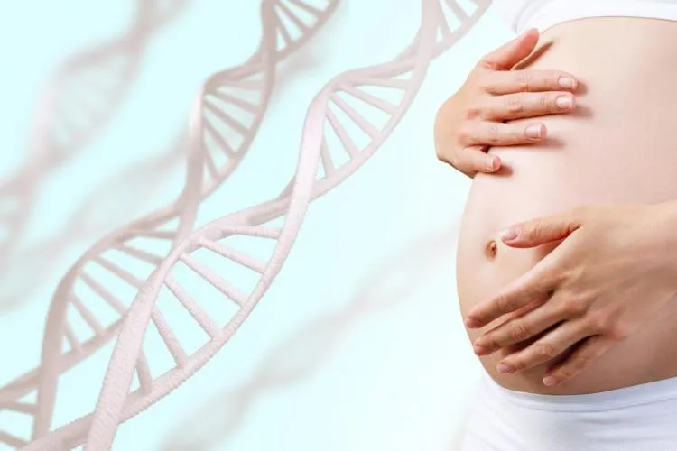 Zdjęcie Czy badania prenatalne są płatne? Sprawdź, co musisz wiedzieć