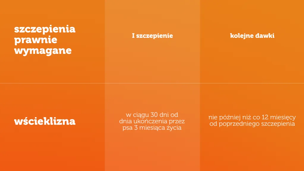Zdjęcie Jakie szczepienia dla psa są obowiązkowe i zalecane dla zdrowia?