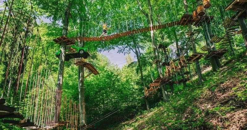 Zdjęcie Park linowy Żywiec - Ciekawe trasy i atrakcje dla całej rodziny