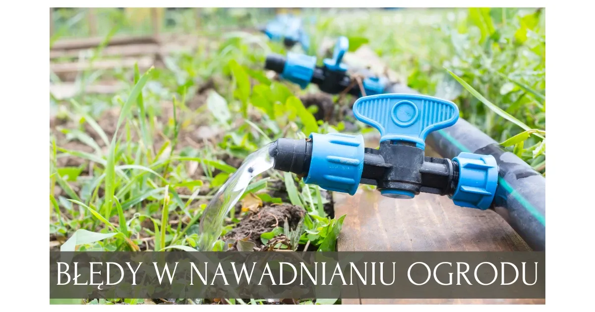 Zdjęcie Jaki wąż do zraszaczy? Uniknij błęd&oacute;w, podlewaj efektywnie!