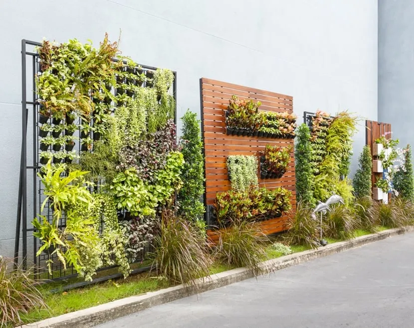 Kompozycja roślin w ogrodzie piętrowa