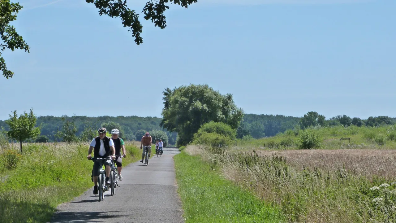 Radweg Steinhuder Meer