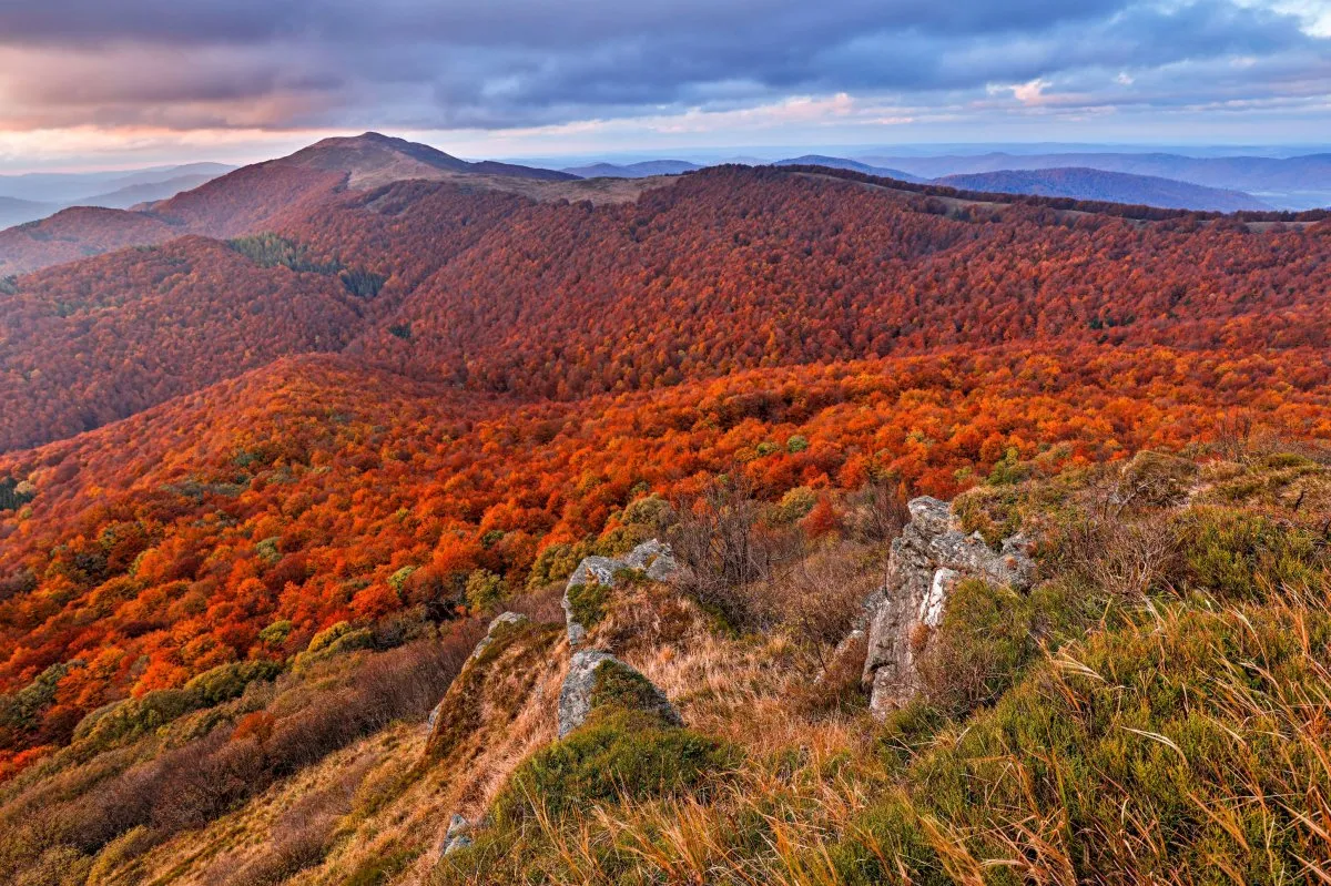 Bieszczady widoki góry jesień