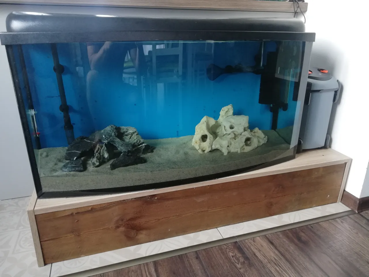 przykładowa obsada akwarium 200l