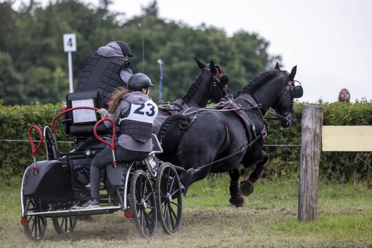 przejażdżka bryczką Stado Ogierów Książ