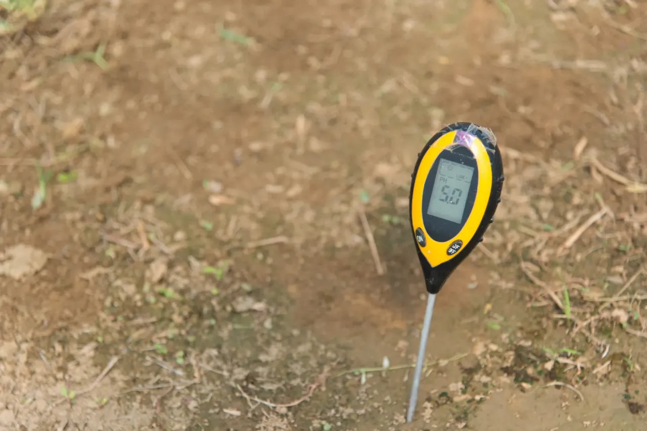 Miernik pH w ziemi pokazuje 5.0. Aby obniżyć pH trawnika, należy zastosować odpowiednie środki.