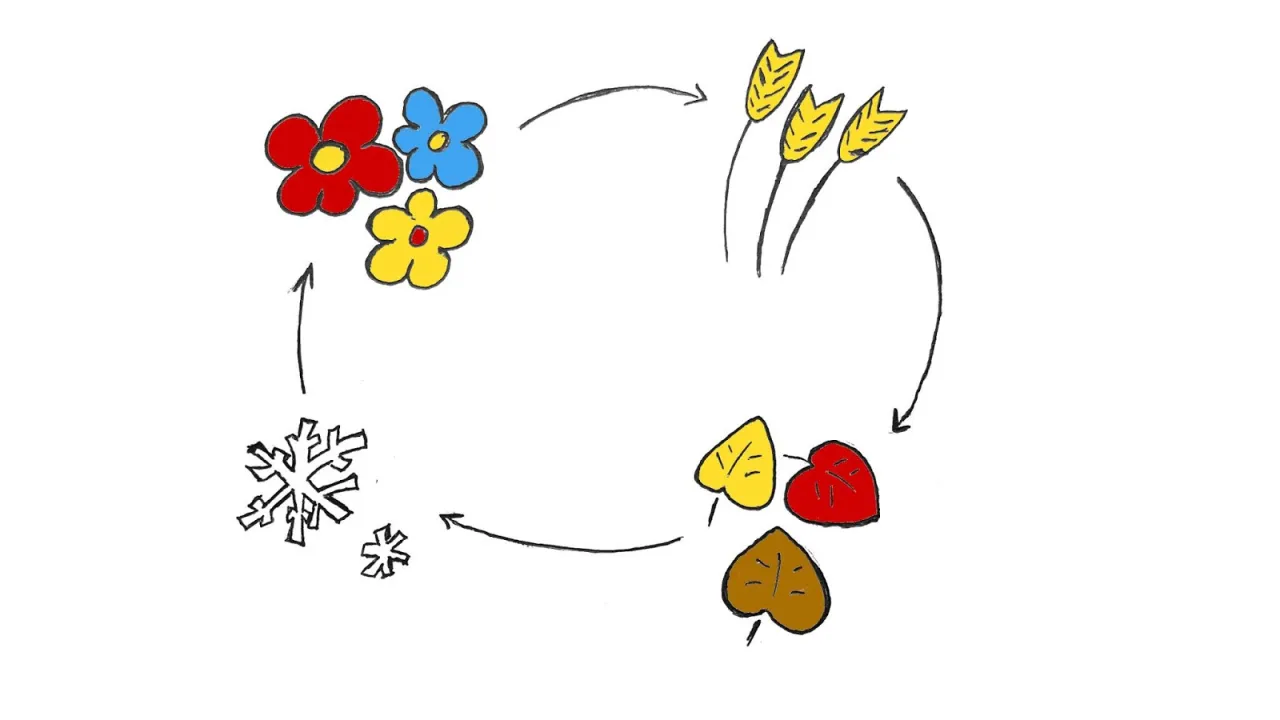 Cykl pór roku: kwiaty (wiosna), kłosy (lato), liście (jesień), śnieżynki (zima). Opowiada o cyklu natury, jak w micie o Demeter i Korze.