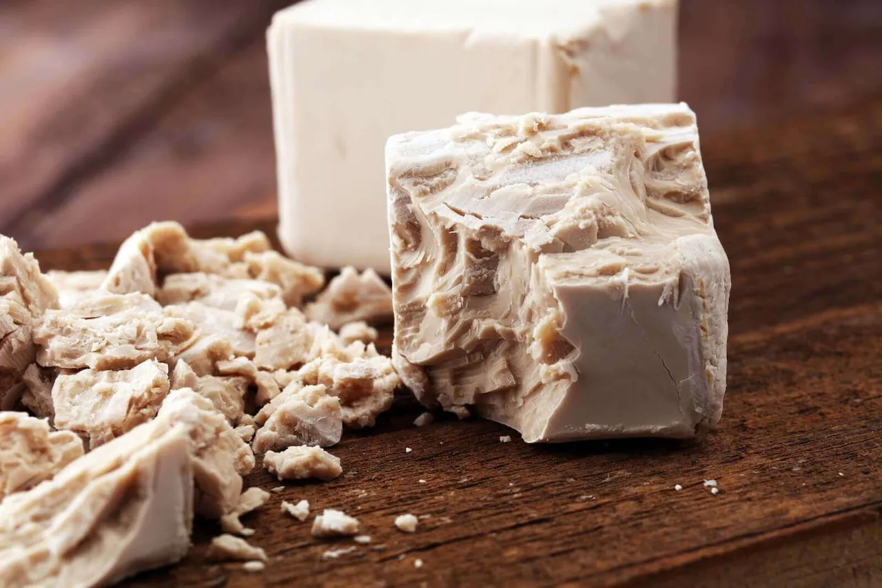 Kostki świeżych drożdży, część pokruszona. Odpowiedź na pytanie: czy można mrozić drożdże? Tak, można je mrozić.