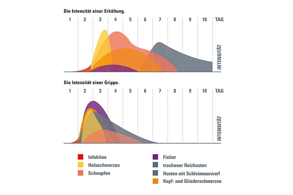 Kind Grippe vs Erk&auml;ltung Symptome Vergleich