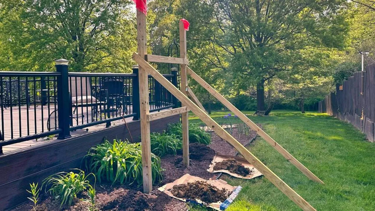 Budowa pergoli tarasowej drewnianej jak zrobić? Konstrukcja z drewna czeka na dalsze prace.