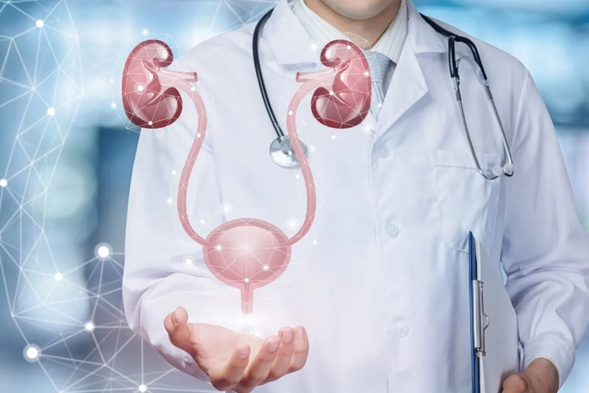 Urolog wyjaśniający zakres swojej pracy