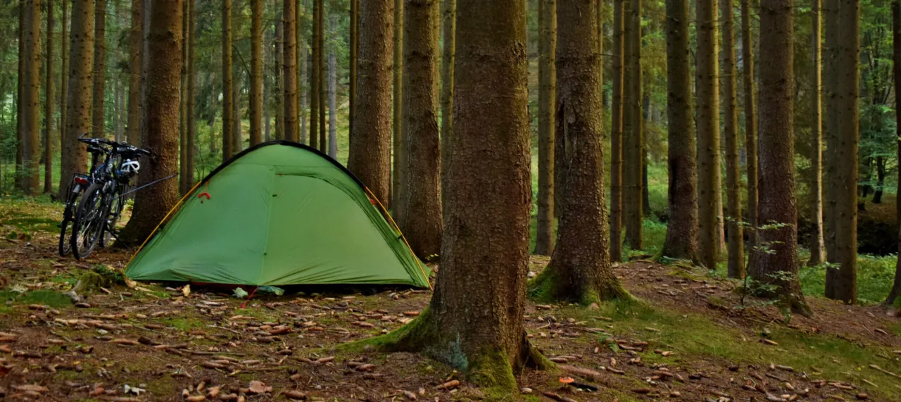 Zielony namiot i rowery w lesie to idealne miejsce, gdzie można spać w lesie, blisko natury.
