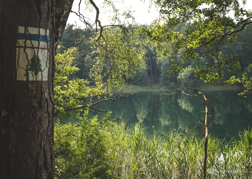 Puszcza Drawska krajobrazy