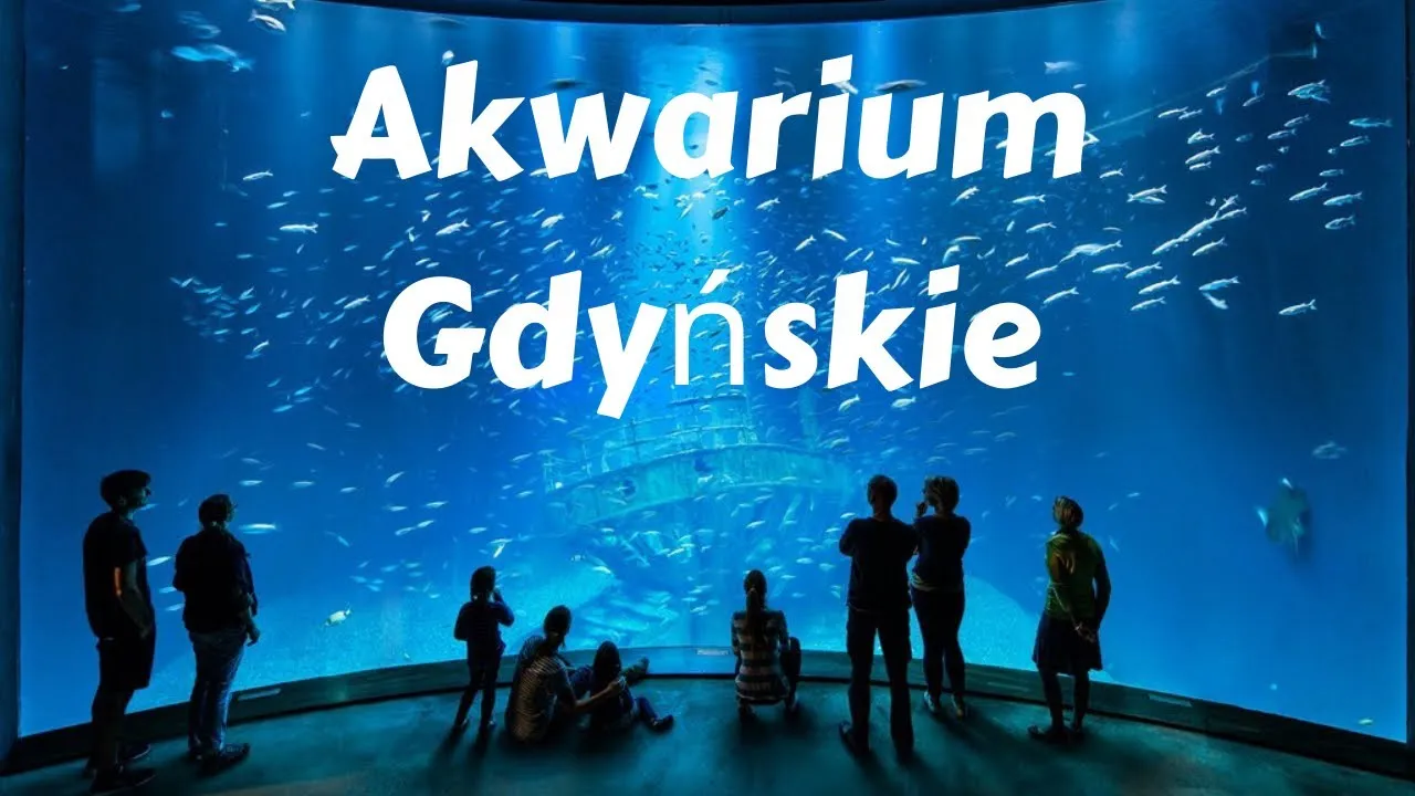 Zdjęcie Gdynia atrakcje oceanarium - odkryj fascynujący świat morskich stworzeń
